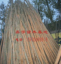 企业简介