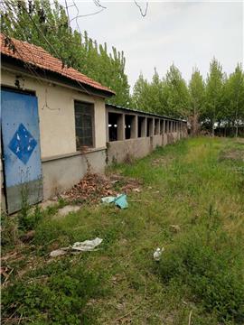 超值商机 1元/平，2800平米多用途场地出租，适合加工厂、养殖场、苗圃仓库等